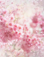 Abstract Cherry Flowers Bokeh Backdrop For Baby Spring Photography Shopbackdrop