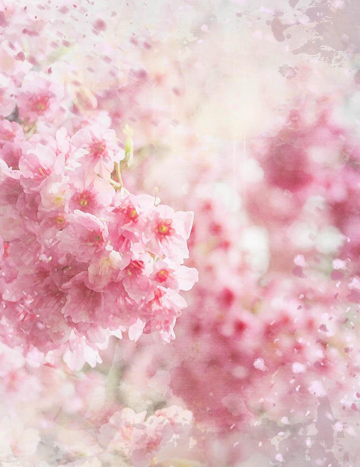 Abstract Cherry Flowers Bokeh Backdrop For Baby Spring Photography Shopbackdrop