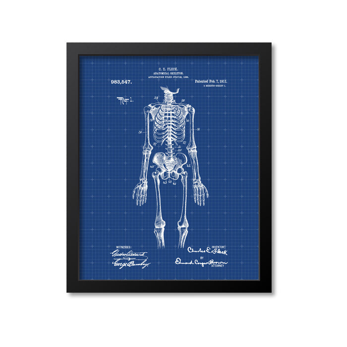 Anatomical Skeleton Print