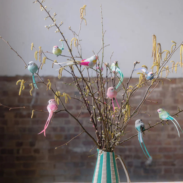 Assorted Feather Bird Clip on Decorations | Petra Boase