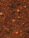 Brown County BBQ Rub