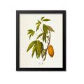 Cacao Tree Art Print, Chocolate, Cocoa Beans