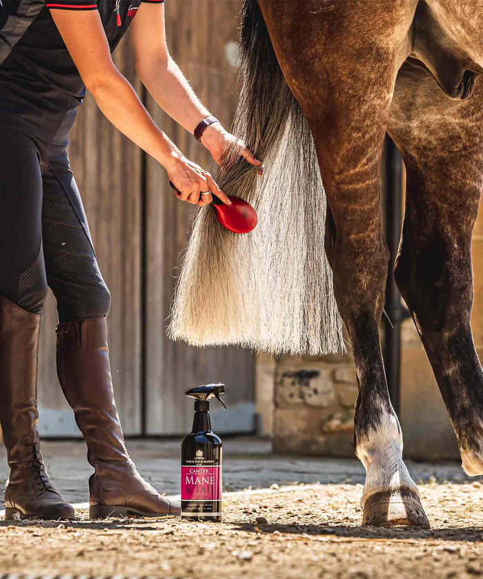 Carr & Day & Martin CANTER MANE & TAIL CONDITIONER 500 ml