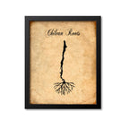 Chilean Roots Print