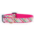 Dog collar with pink and plaid pattern on a white background