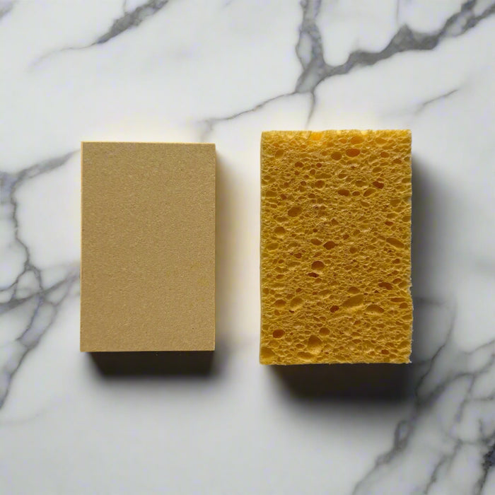 Compressed Cellulose Sponge - Greenbriar Market + Refillery