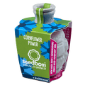 Cornflower Power Seedbom