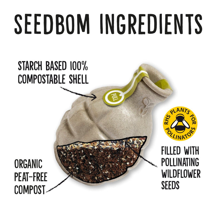 Cornflower Power Seedbom