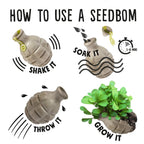 Cornflower Power Seedbom