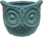 Decorative Owl Pot 4 inch