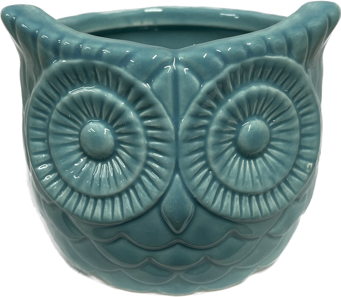 Decorative Owl Pot 4 inch