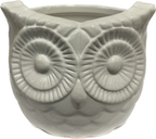 Decorative Owl Pot 4 inch