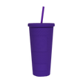 Dixxon Studded Matte Tumbler - Purple