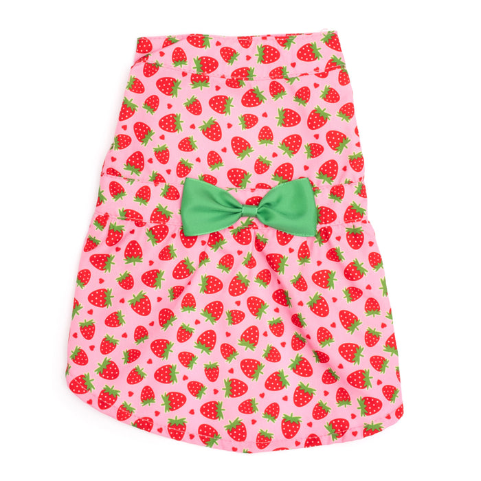 STRAWBERRIES-DOG-DRESS