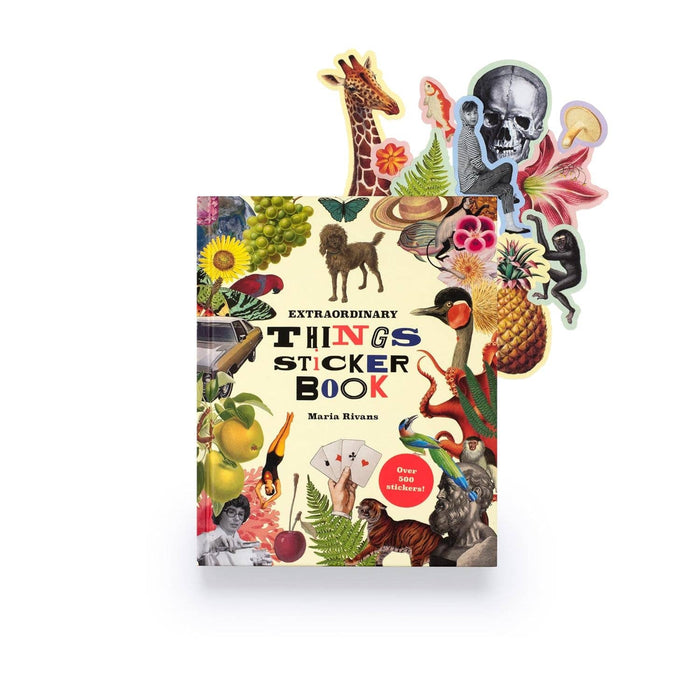 Extraordinary Things Sticker Book | Maria Rivan