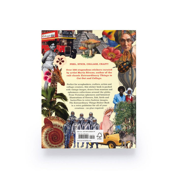 Extraordinary Things Sticker Book | Maria Rivan