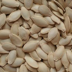 Hybrid F1 Yellow Zucchini Seeds