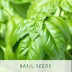 Kitchen Herbs Mini Grow Kit by The Plant Gift Co. &Keep