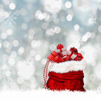 Light Silver Bokeh Sparkles With Snow And Christmas Gift Backdrop Shopbackdrop