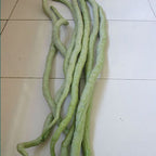 Long-Snake-Bean-Seeds