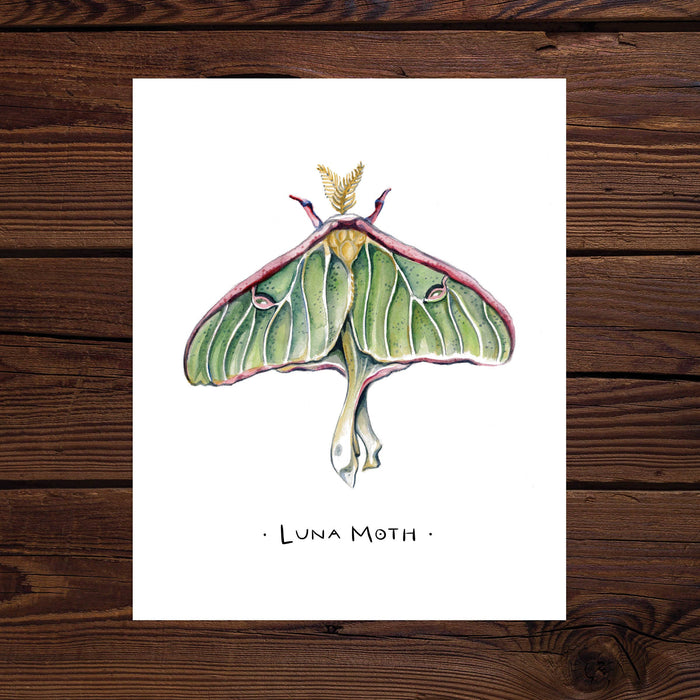Luna Moth Watercolor Art Print