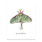 Luna Moth Watercolor Art Print