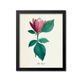 Mulan Magnolia Flower Art Print