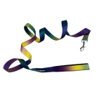 OMBRE-DOG-LEASH-COSMIC-SPLASH