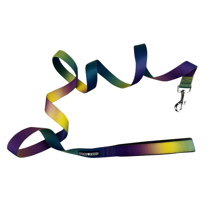 OMBRE-DOG-LEASH-COSMIC-SPLASH