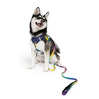 OMBRE-DOG-LEASH-COSMIC-SPLASH