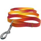 OMBRE-DOG-LEASH-RASPBERRY-PINK-ORANGE