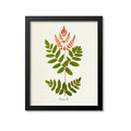 Osmunda Fern Art Print