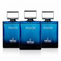 Passion for Men Eau de Parfum 100ml (Pack of 3) | Long Lasting Men's Perfume Gift Set