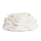 Dolphin Clinic Passive Diffuser - Peony Flower _3