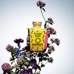 Pollinator Beebom Seedbom