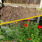 Pollinator Beebom Seedbom
