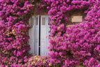 Purple Flowers  Around The Wood Door For Wedding Photo Backdrop Shopbackdrop