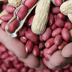 Red Peanut & Groundnut Seeds