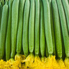 Ridgeless-Luffa-Seeds