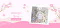 Room Sprays 500ml