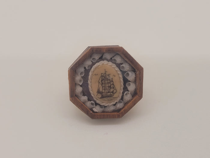 Sailor's Valentine Pin – Ship Emblem with Conch Shells - by Pam Friend