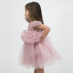Special Sonia Baby Formal Dress