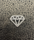 The Nisarga Silver Brooch